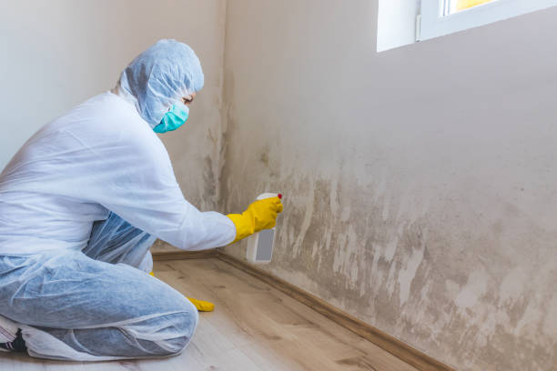 Licensed Commercial Mold Remediation service in Dauphin, PA - WQB Mold Removal