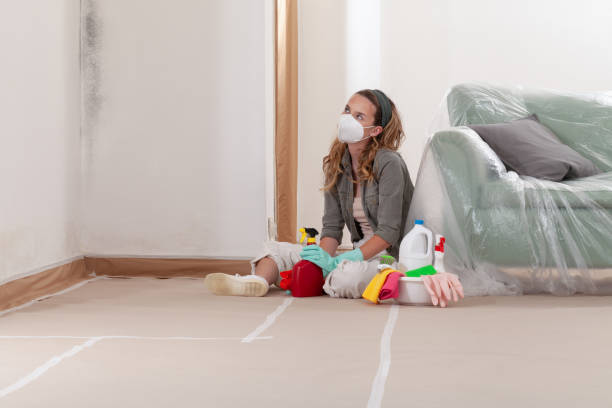 Reliable Commercial Mold Remediation contractor in Dauphin, PA by WQB Mold Removal
